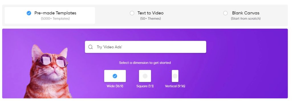 invideo - video options