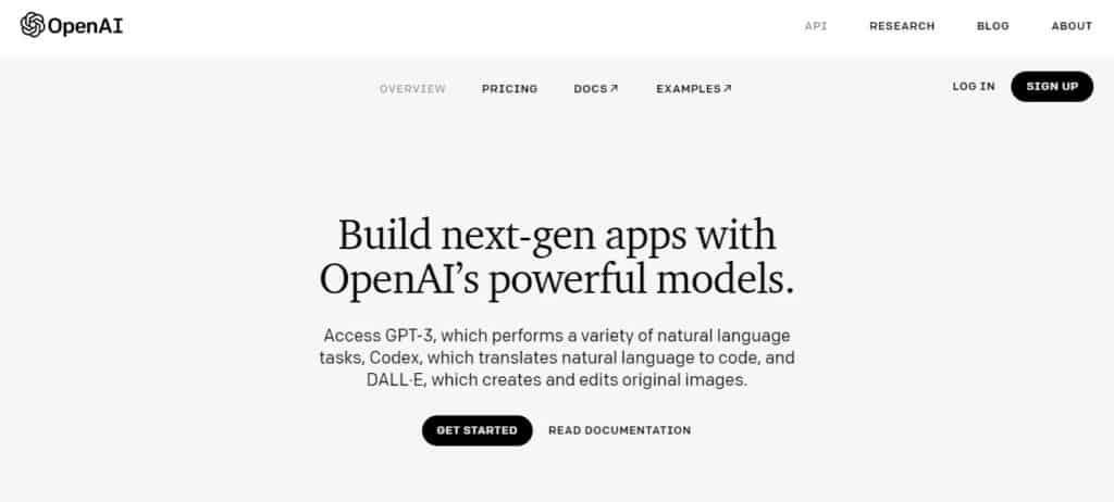 OpenAI API