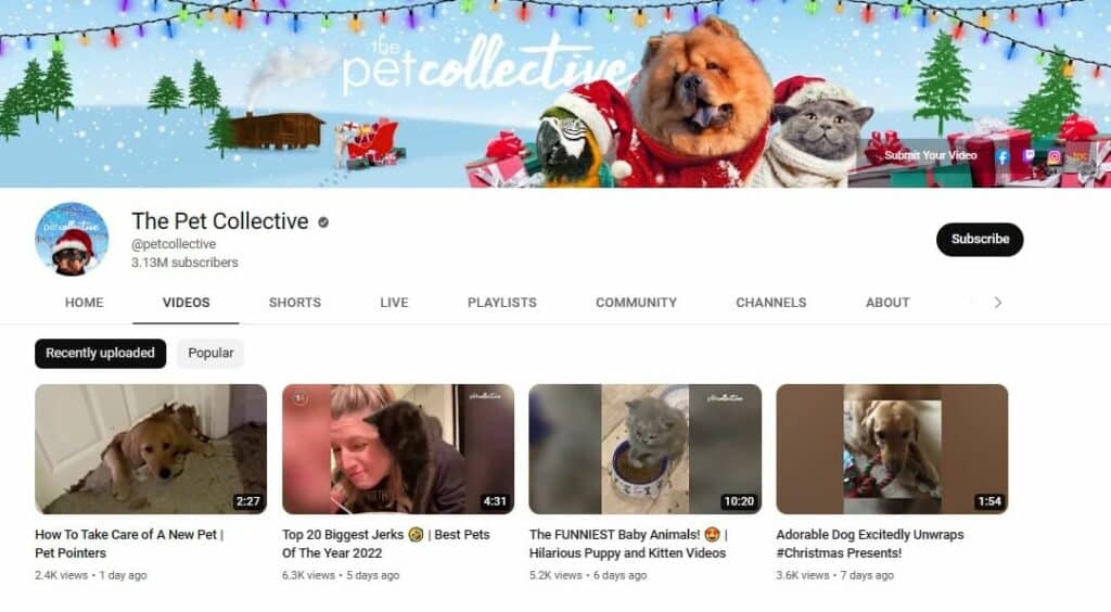 the pet collective