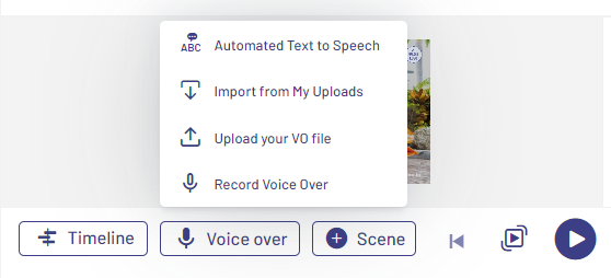 invideo voiceover